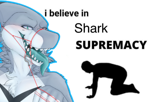 Trouty🔜LVFC tweet media