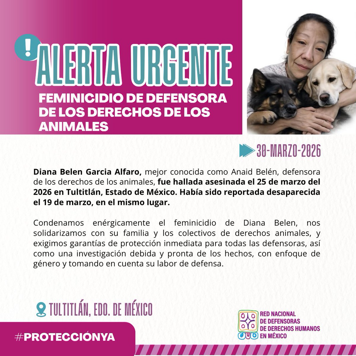 𝗥𝗲𝗱 𝗗𝗲𝗳𝗲𝗻𝘀𝗼𝗿𝗮𝘀 𝗠é𝘅𝗶𝗰𝗼 tweet media