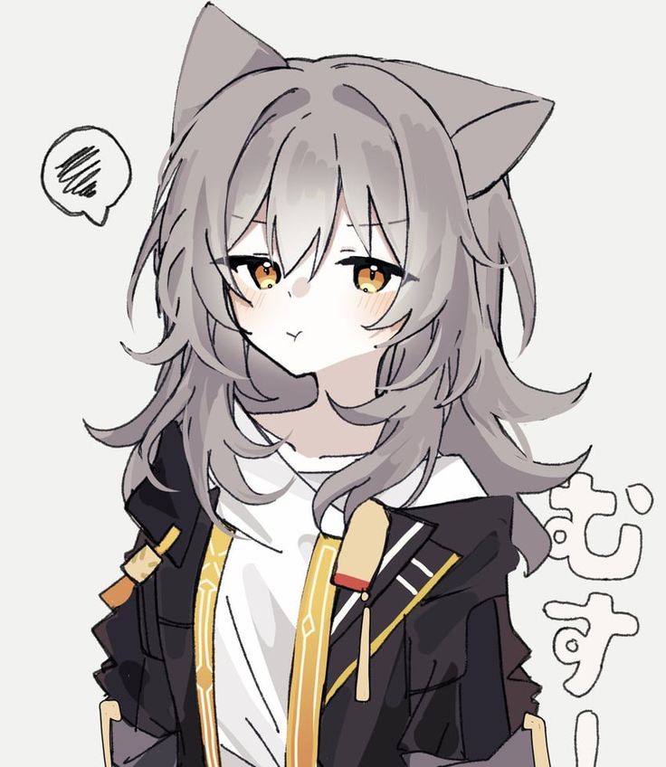 Stelle/ciphera tweet media