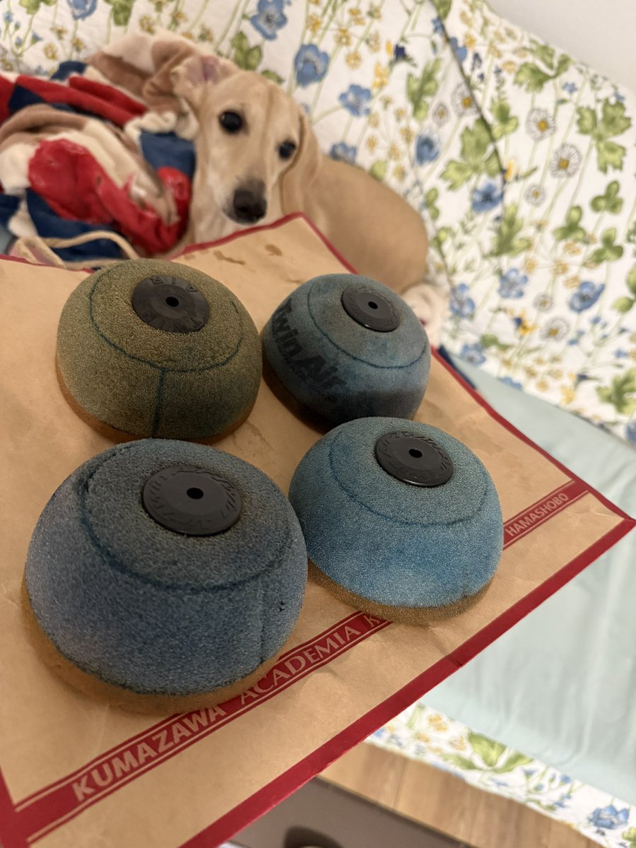 まく@TRRS関トラでるぞ〜🔥 tweet media