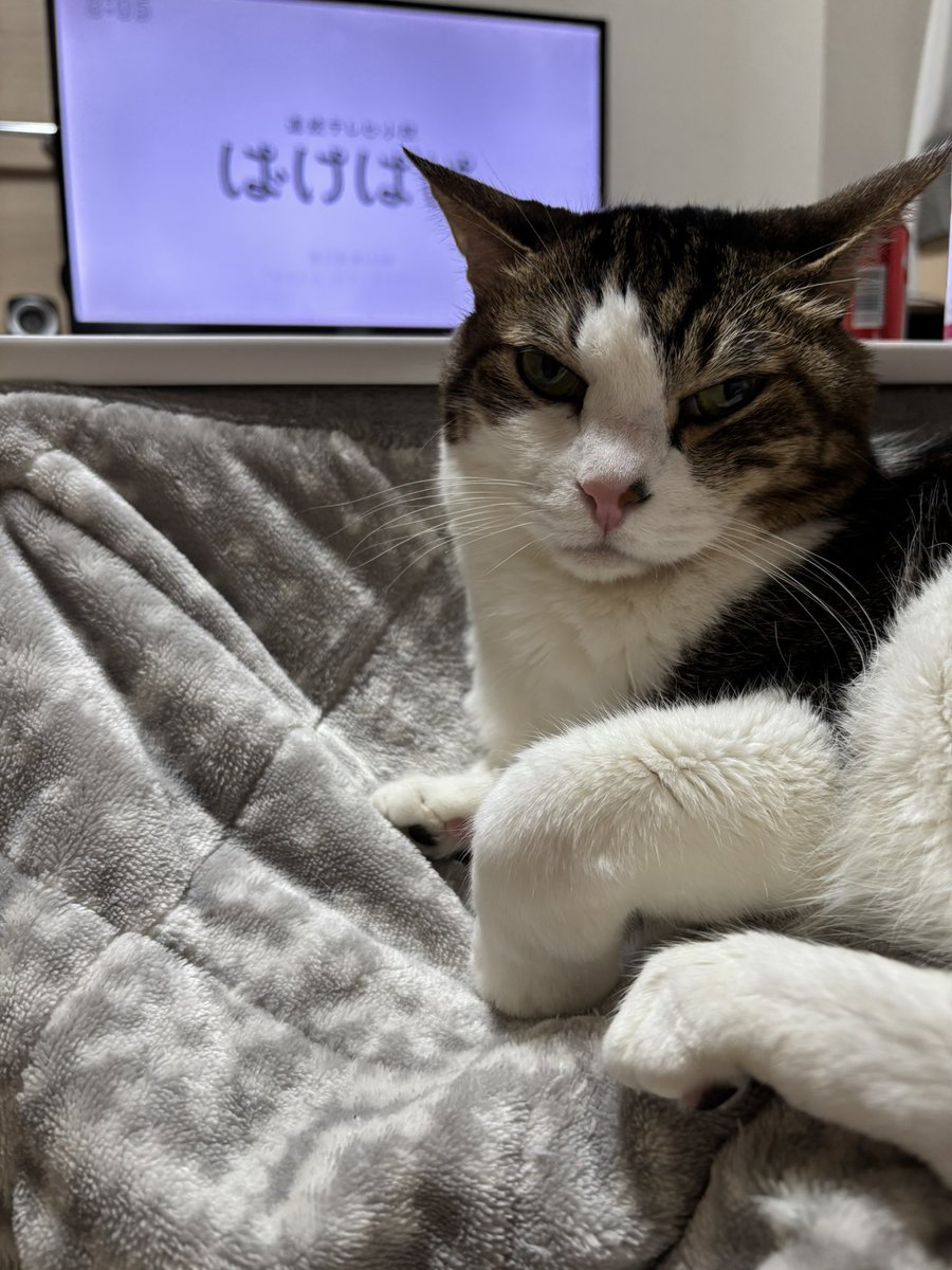 なかお tweet media