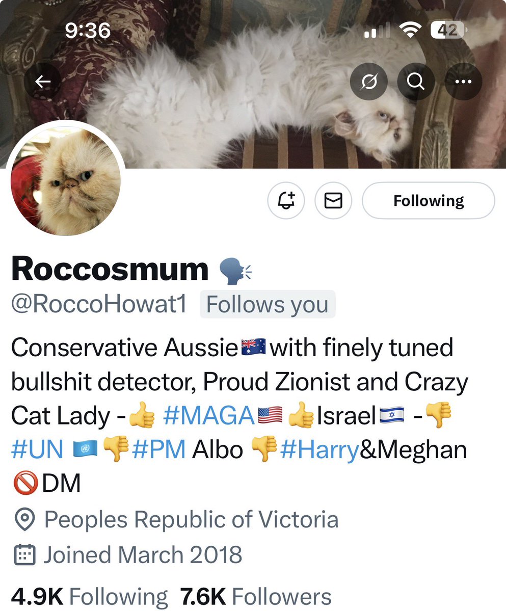 @MissLouie tweet media