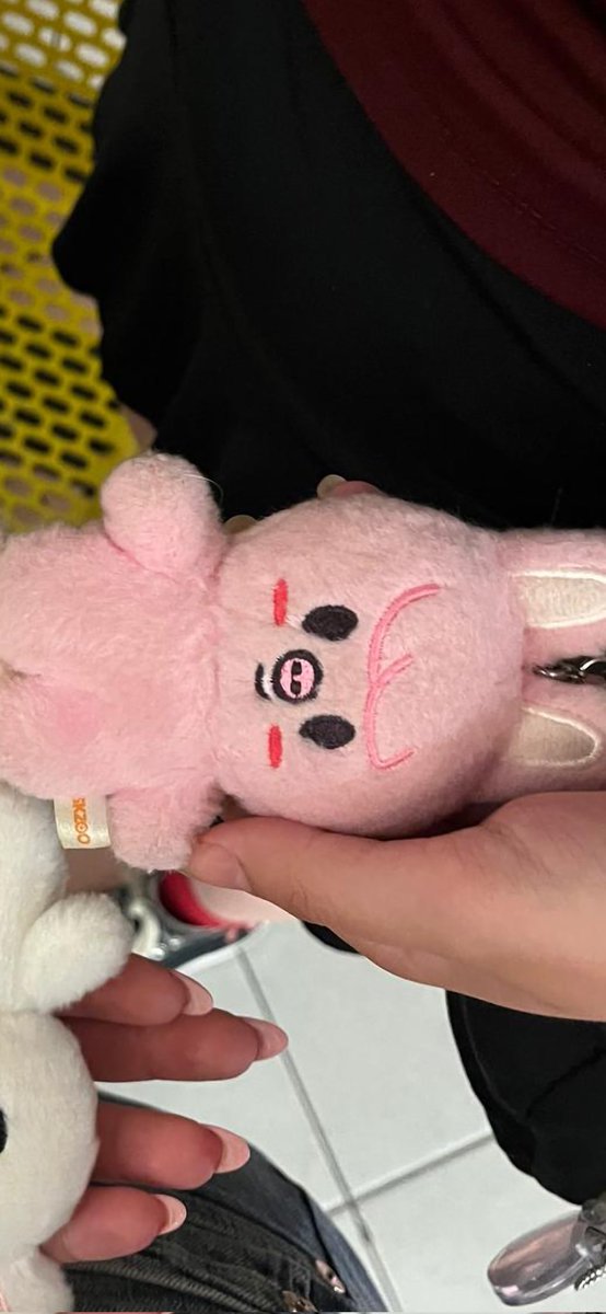 Lio 🪷🍀 tweet media