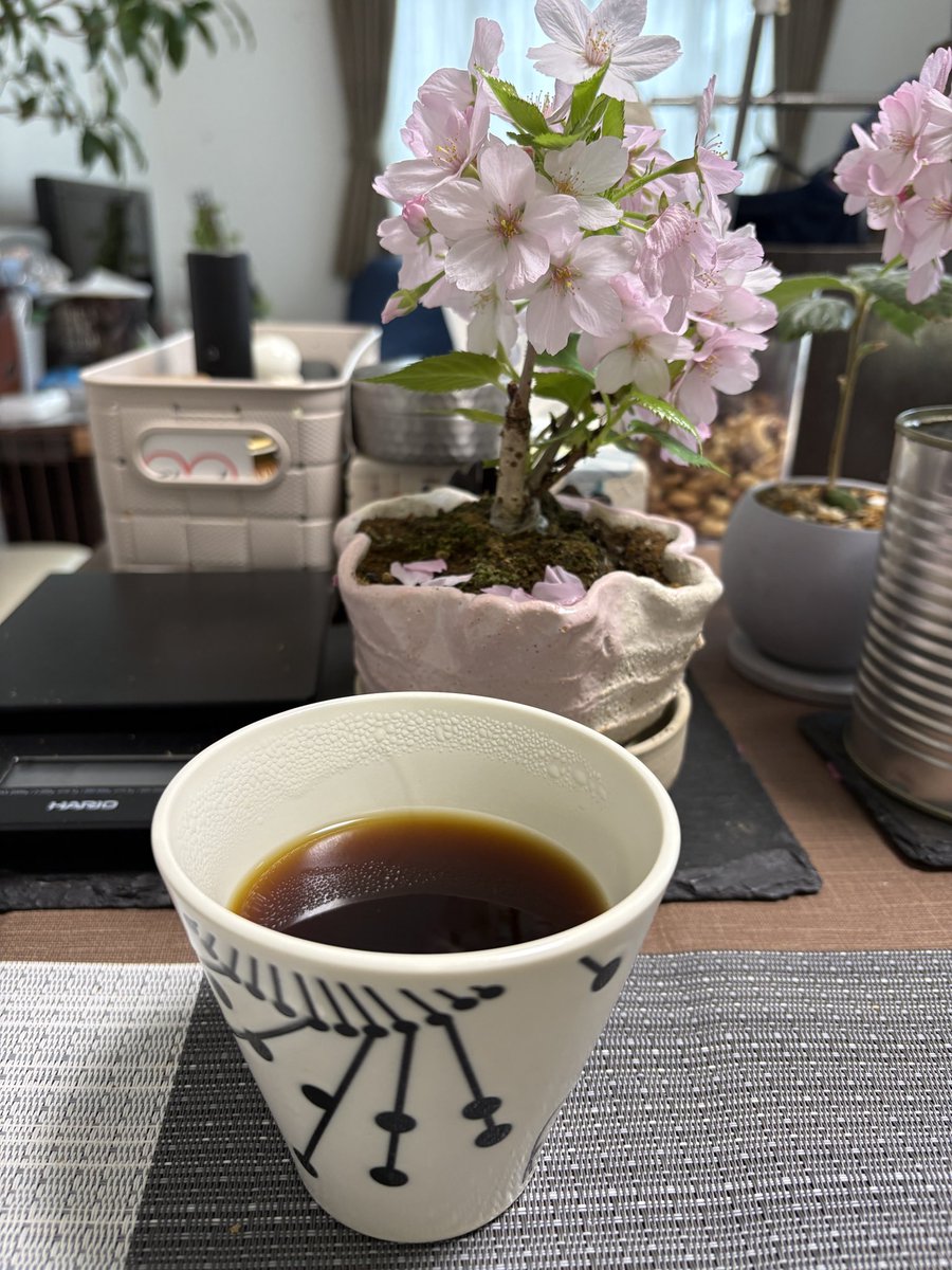 しのぶ@Ren.9632 tweet media