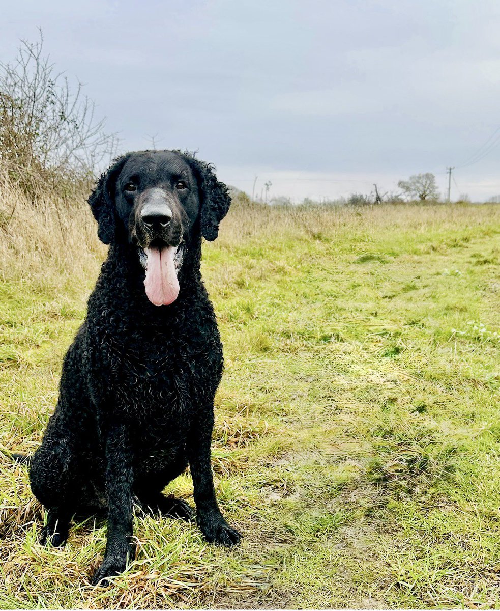 Colin Sutton 🇬🇧🩵 tweet media