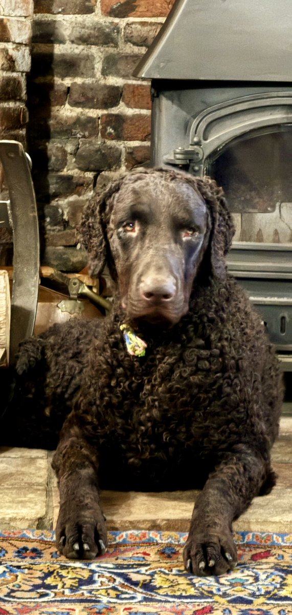 Colin Sutton 🇬🇧🩵 tweet media