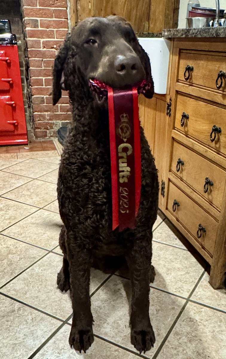 Colin Sutton 🇬🇧🩵 tweet media