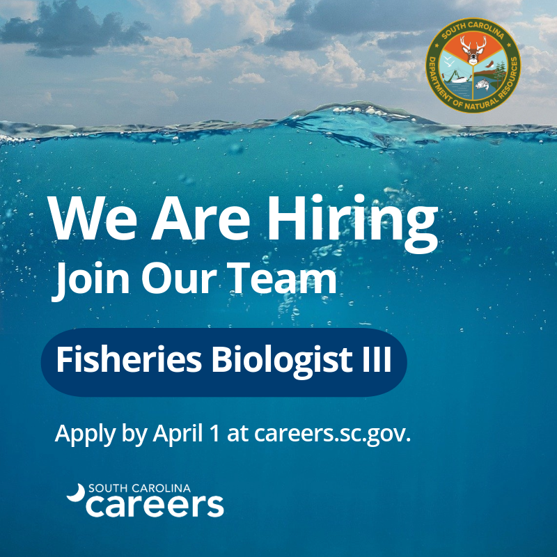 SC Careers tweet media