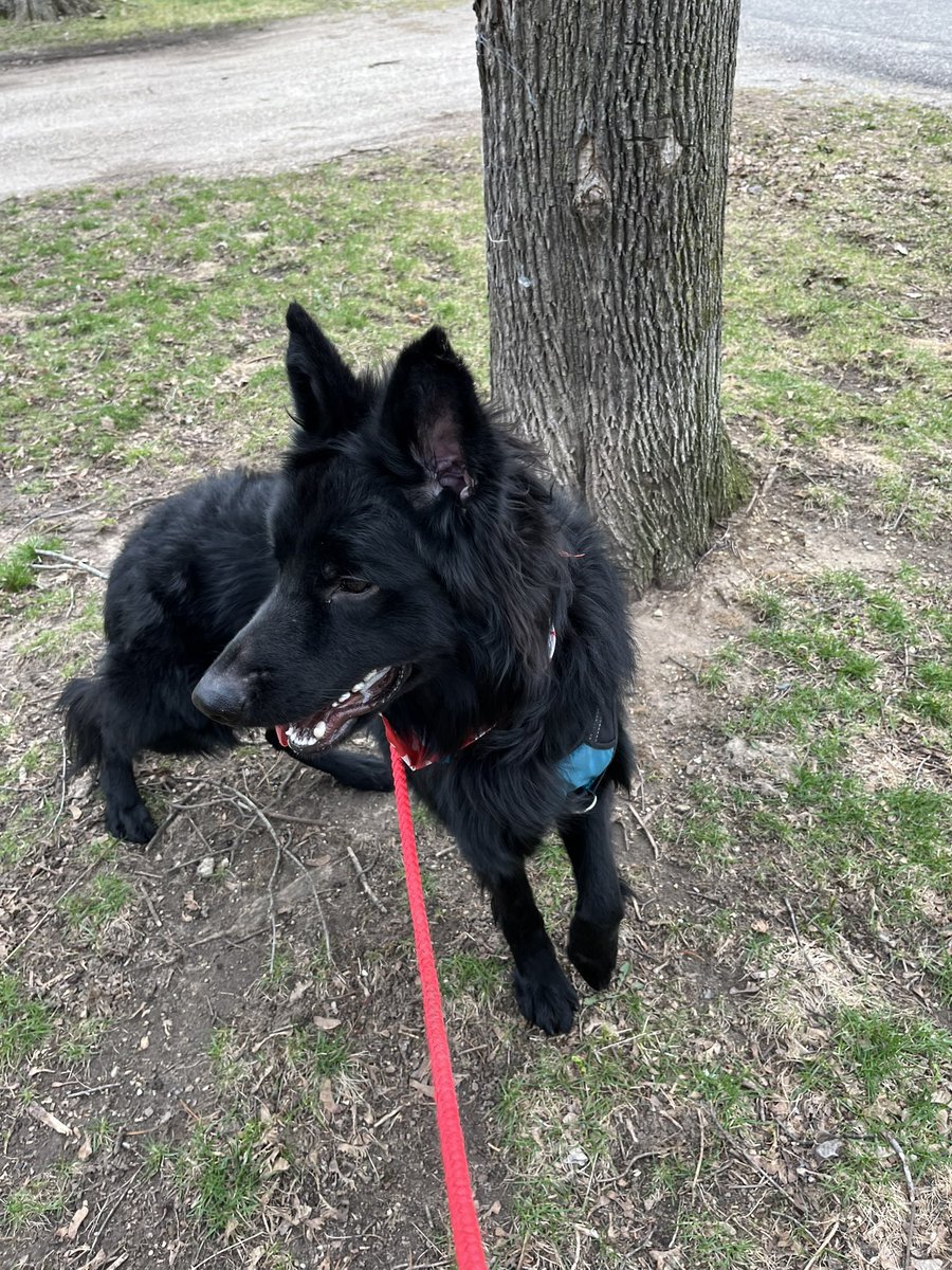 🦴 kota 🦴 tweet media