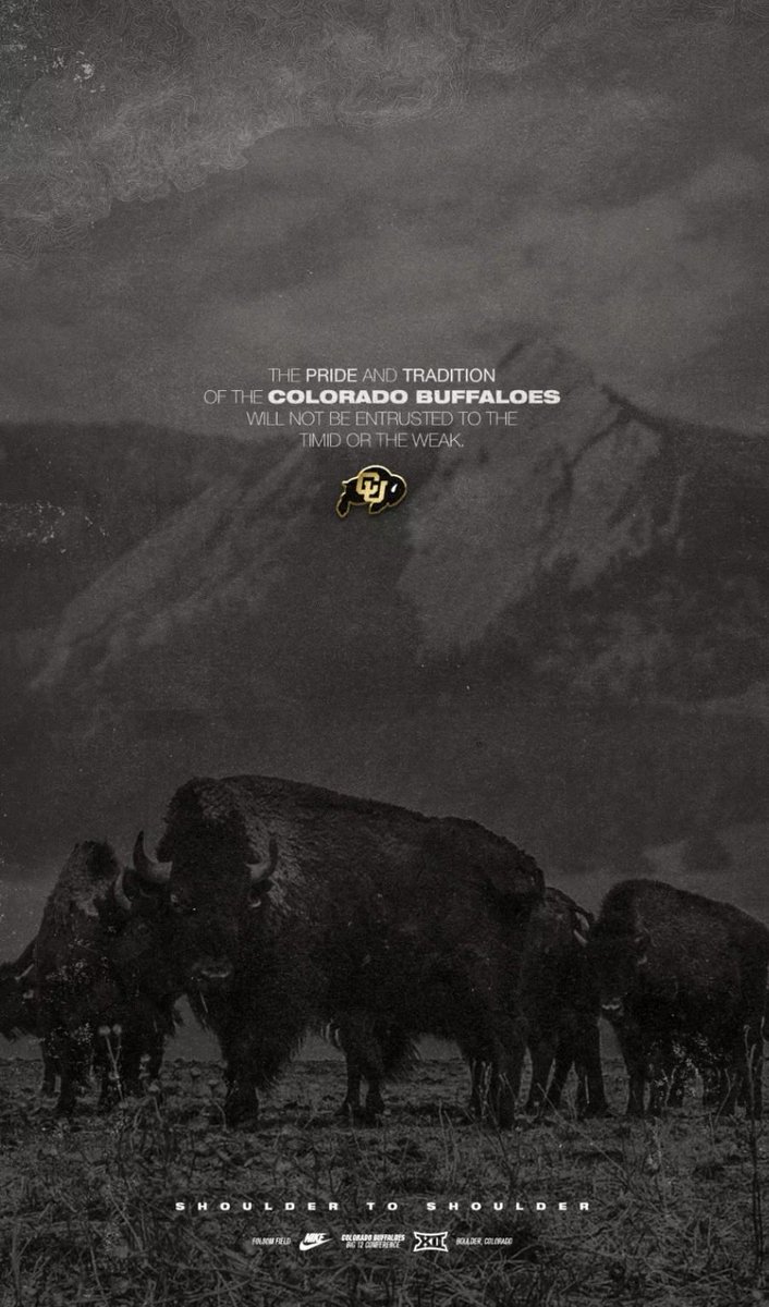 Nate Tomlinson tweet media