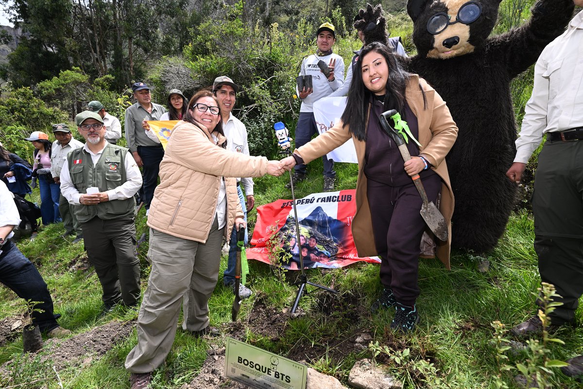 MinamPeru's tweet photo. 💜🌱 #UnMillónDeÁrboles | Juventud que inspira acción por el ambiente

#NotaDePrensa | En el Santuario Histórico de Machupicchu, la ministra del Ambiente, Nelly Paredes, reconoció a @bts_peru por su compromiso y participación en la jornada de reforestación de un millón de árboles en el Santuario Histórico de Machupicchu. 🌿✨

Con su energía, organización y ganas de sumar, demostraron que la unión puede generar un impacto real por el ambiente 💪🌍 y que los jóvenes tienen un rol clave en construir un futuro mejor.

🙌 Sigamos creciendo juntos y sembrando vida. 🫰