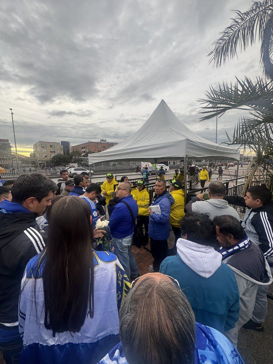 Juan Felipe M tweet media