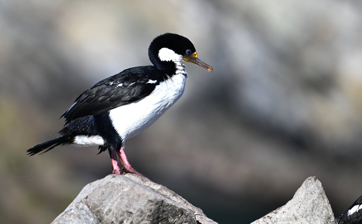 Sue Luxton tweet media