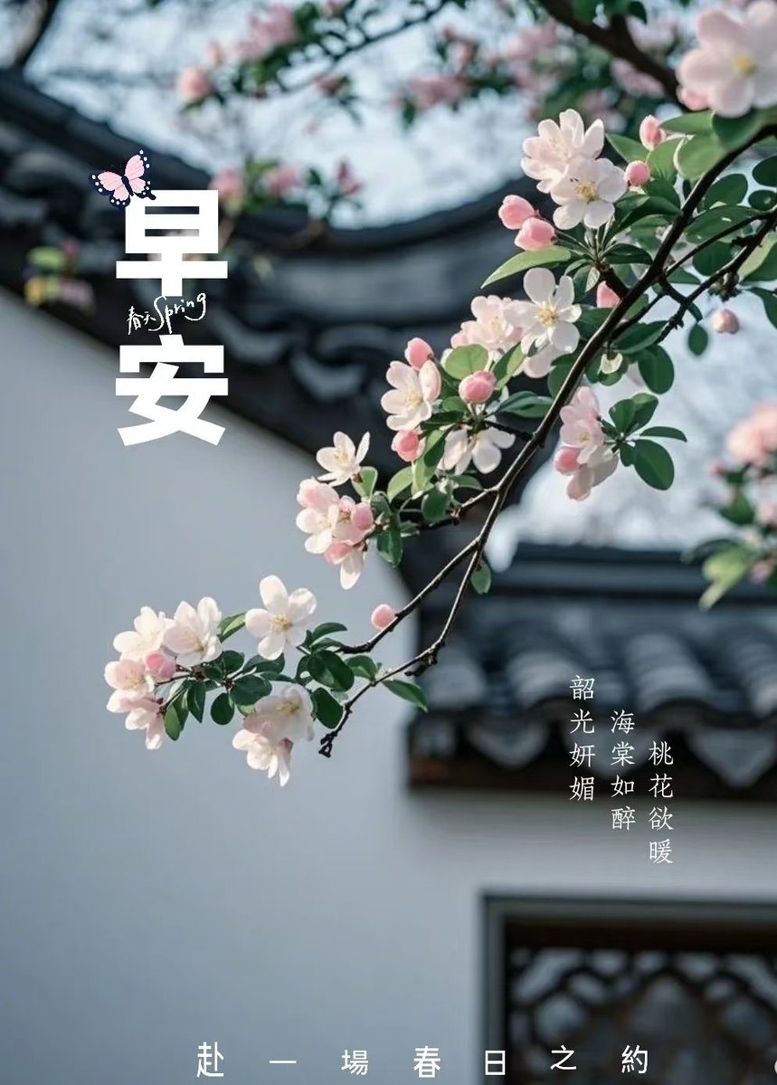 沧笙踏歌-_ tweet media