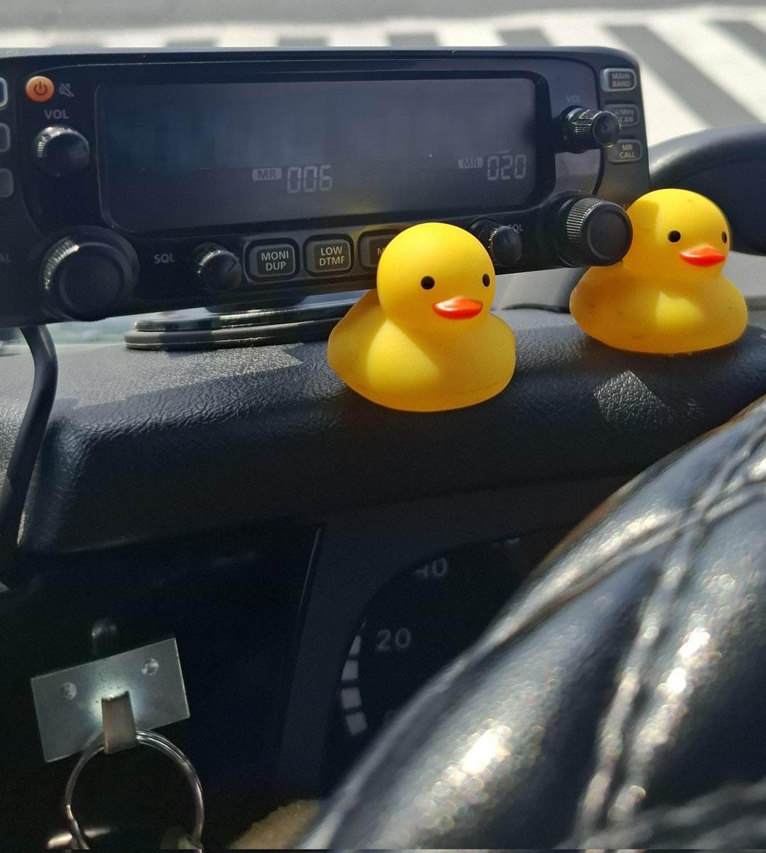 さゆり@オロ©️の人 tweet media