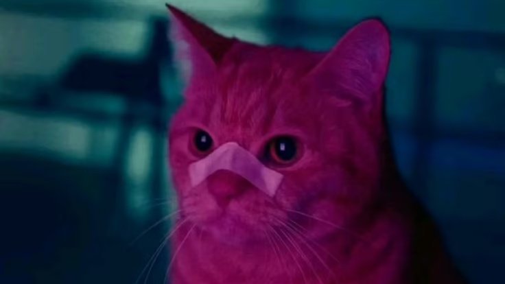 DataEatsWorld tweet media