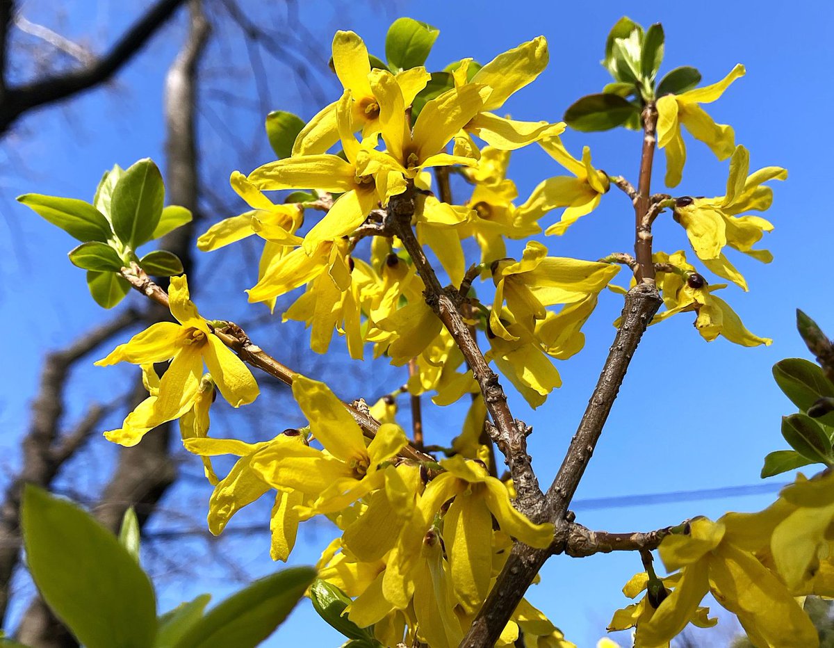 冨永 格（たぬちん） tweet media