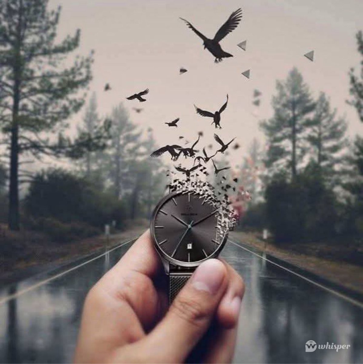 اااالــ🦌ــريــ🦌ـــم tweet media