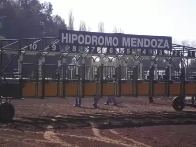 Jack ♦️ 🌳 #002 tweet media