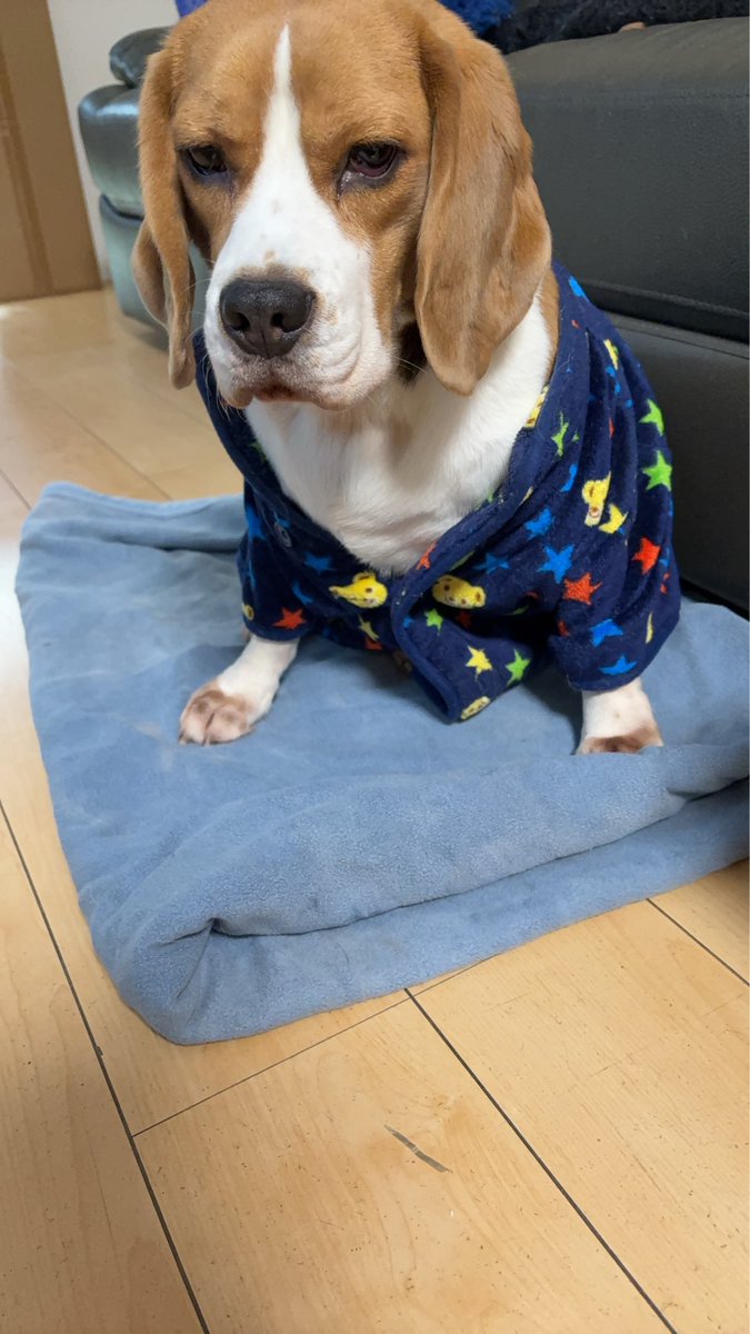 すうせ tweet media