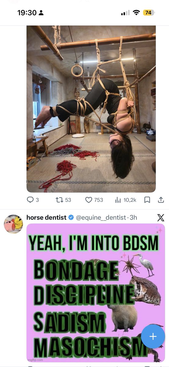 n¡kki saw djo 🏒 tweet media