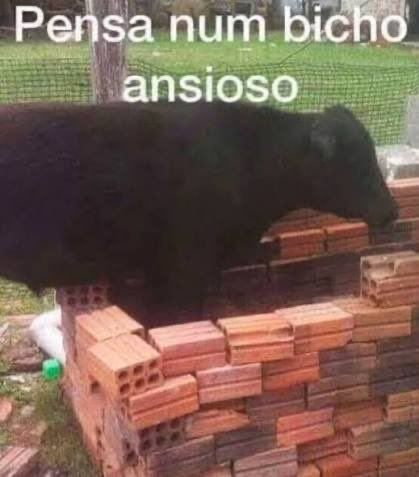 kuronuma. tweet media