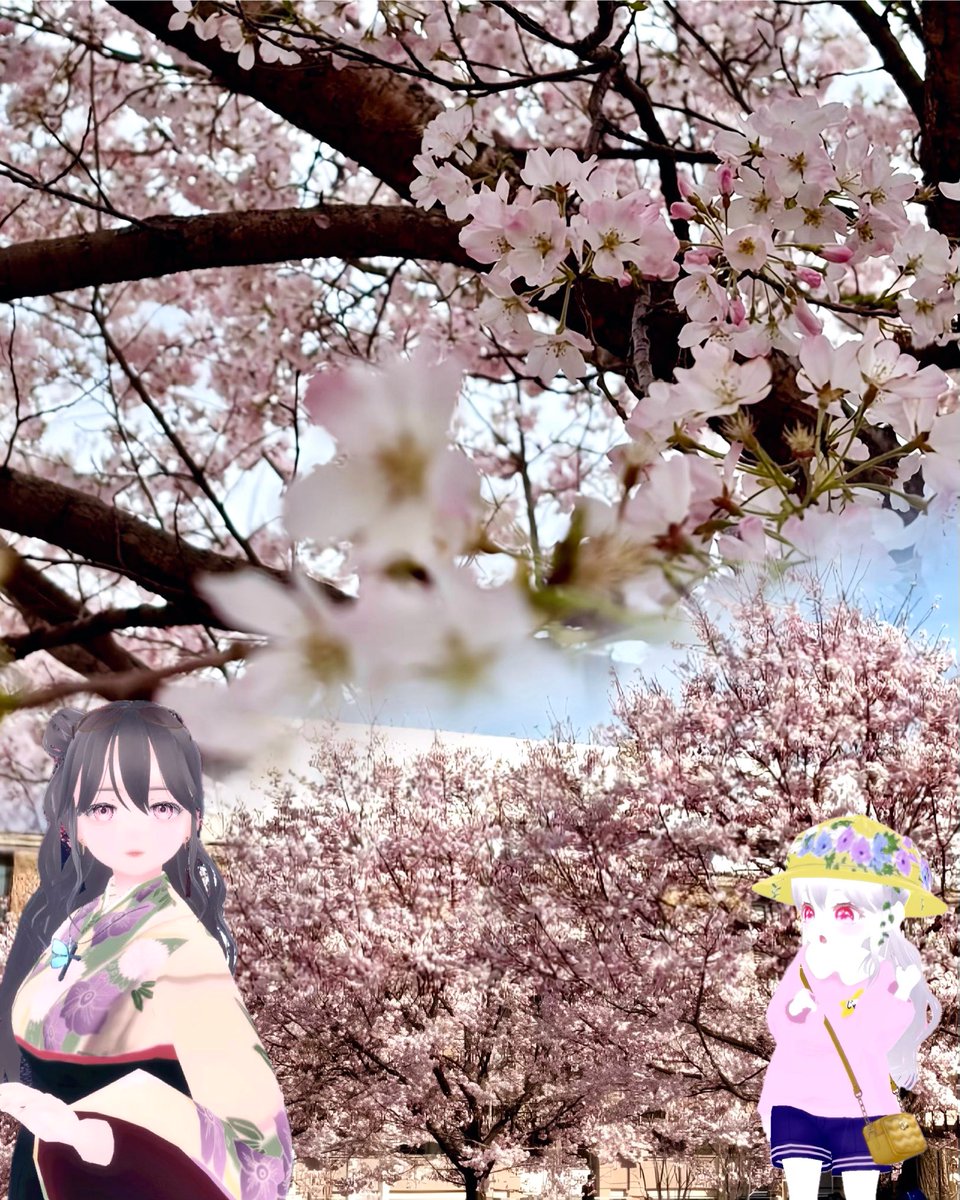 🐾JUNON/じゅのん tweet media