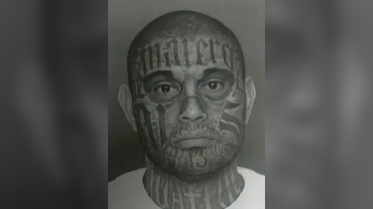 Rapid Response 47 tweet media