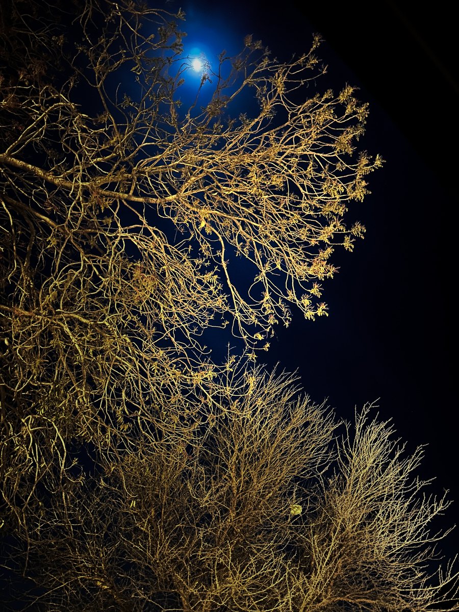 Abdul Latif bin Jory | عبداللطيف بن جعري tweet media