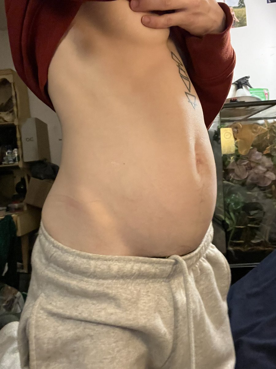 ✨feral hound✨ tweet media