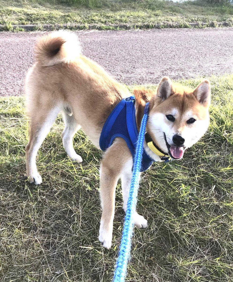 ママ、明日から新しい職場だね。
行ってらっしゃい！