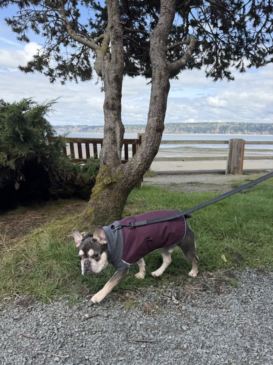 Josh Rimer tweet media