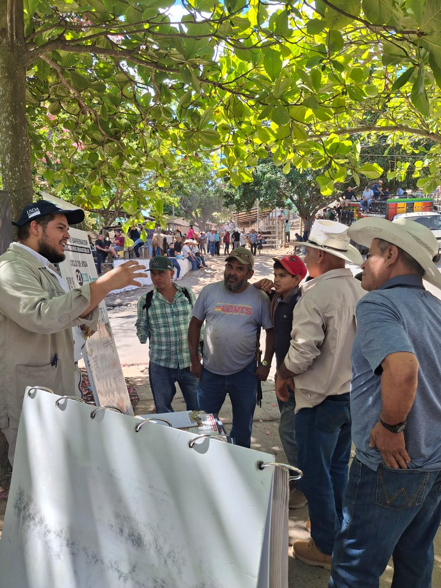 IICA - El Salvador tweet media