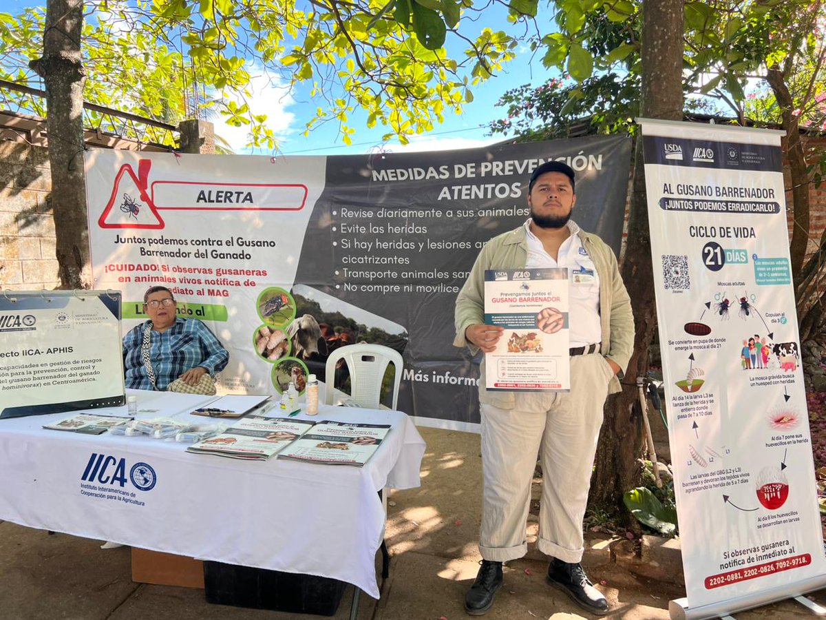 IICA - El Salvador tweet media