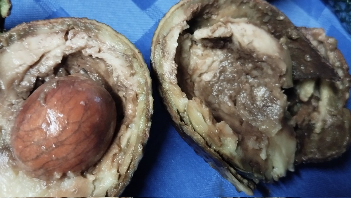 Rodrigo Sandoval tweet media