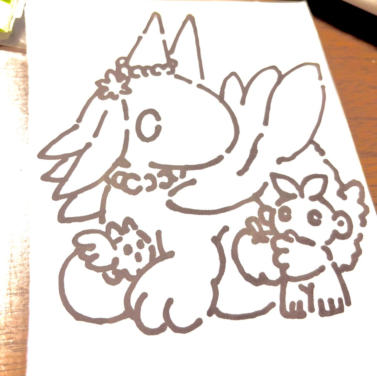 ■ぬいぐるみBamboccio■ tweet media