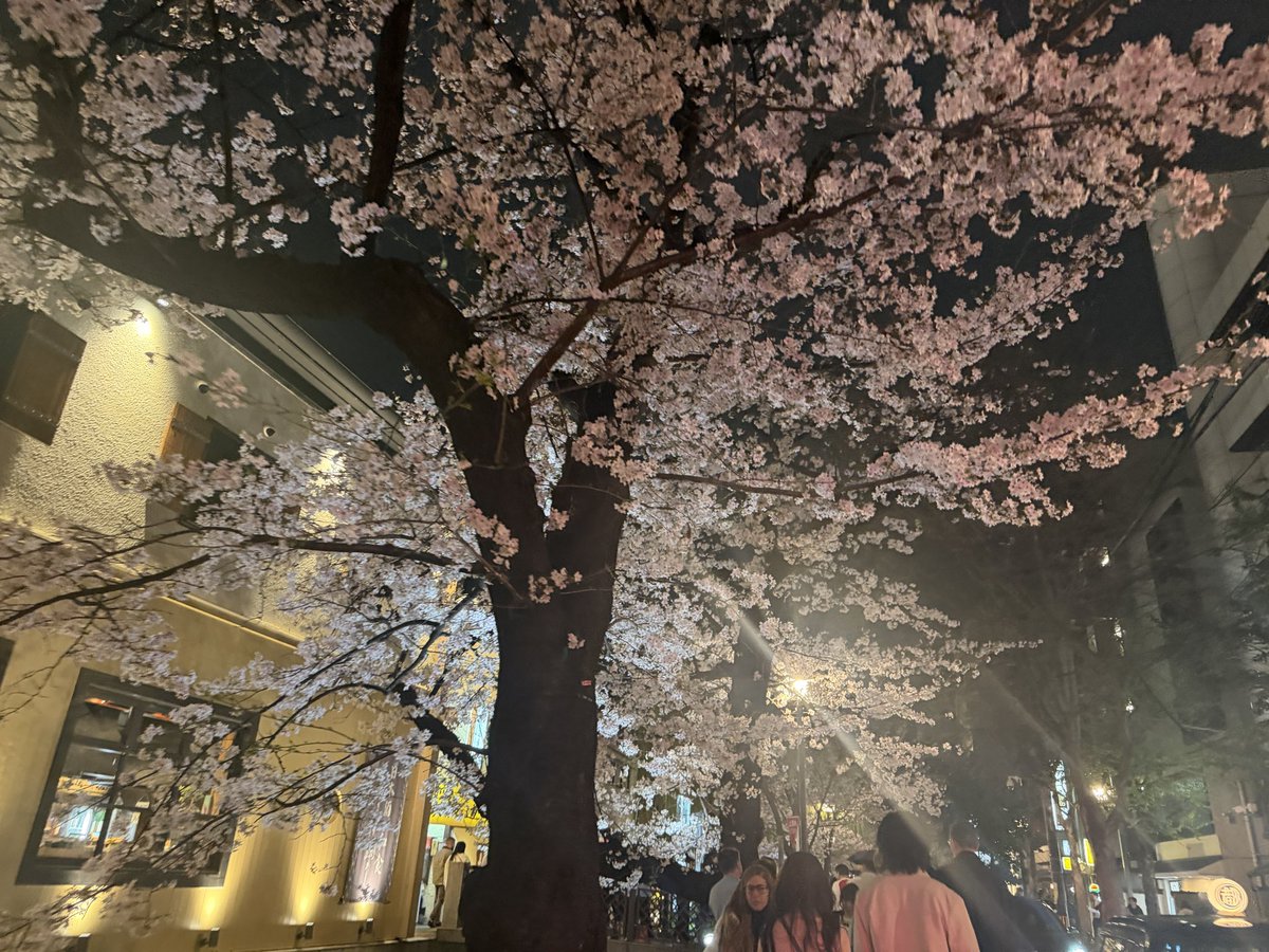 kyoto_city_k's tweet image. 昨日の京都の夜散歩
木屋町通です
高瀬川沿いのサクラはほぼ満開で
月曜日でも人もいっぱい
三条通〜四条通の間歩くのも大変
今日の雨でどうなるでしょうか
#kyoto #walking #CherryBlossoms #花見