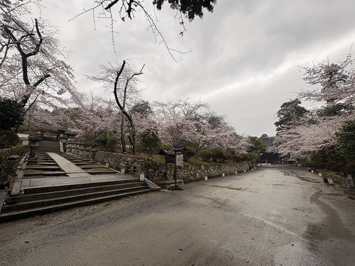 べんべん tweet media