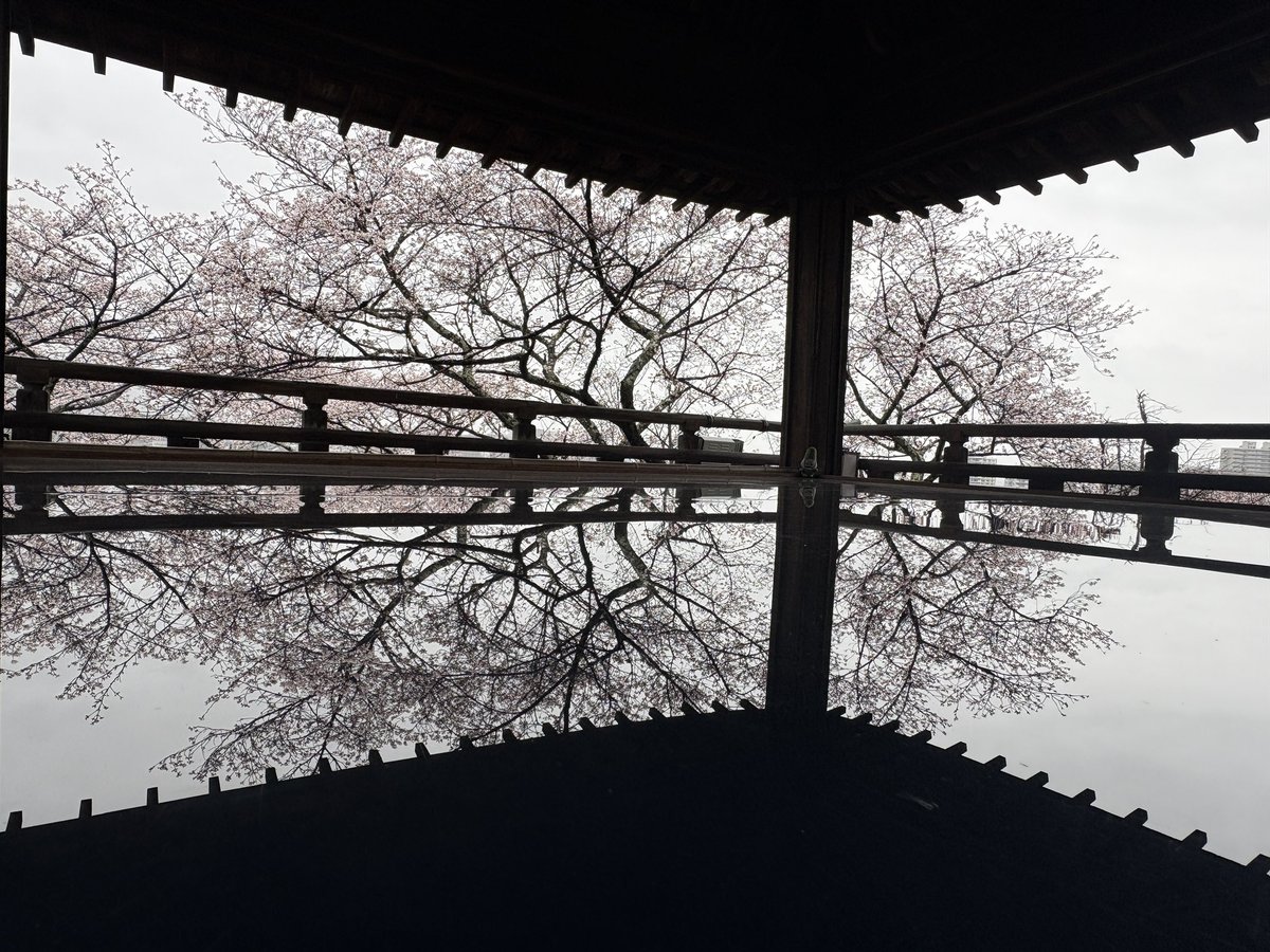 べんべん tweet media