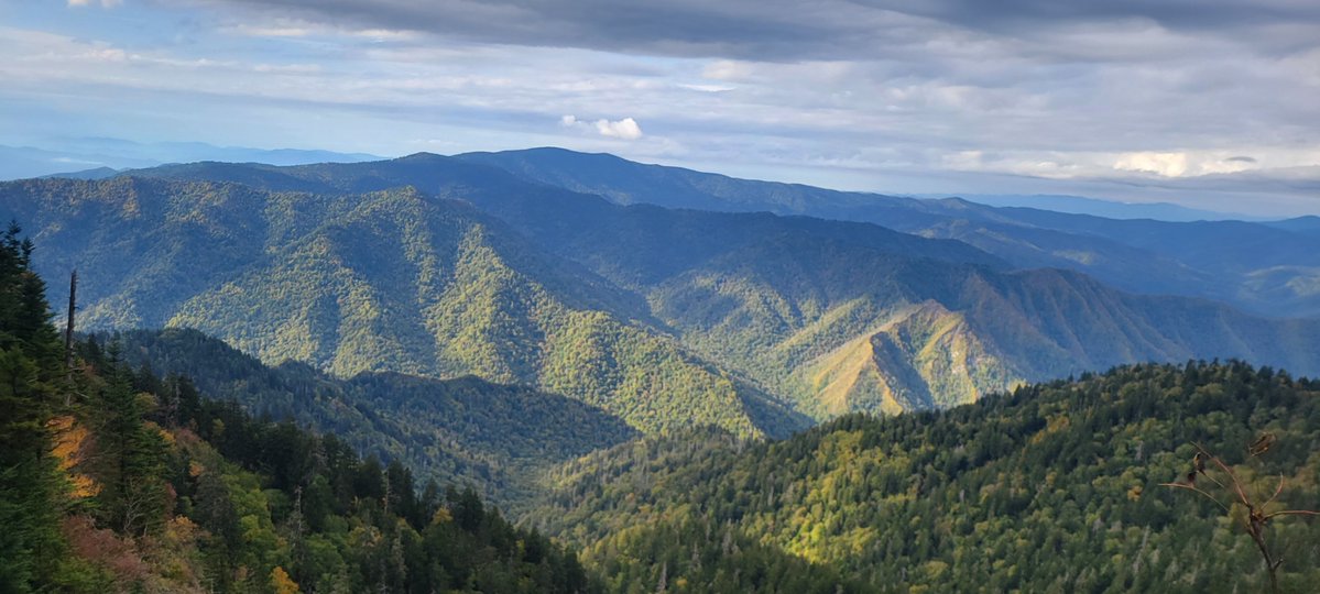 PyroBlue 🎆 tweet media