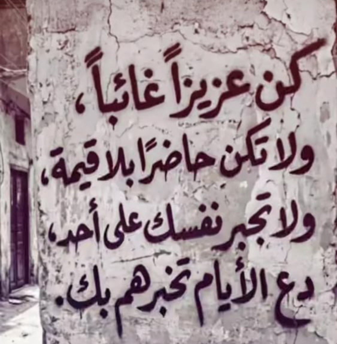 سعيد اليزيدي /ابو محمد ( يزيدو فيتش)✍📚 tweet media