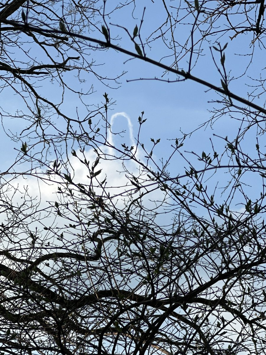 tabby aka Lilith tweet media