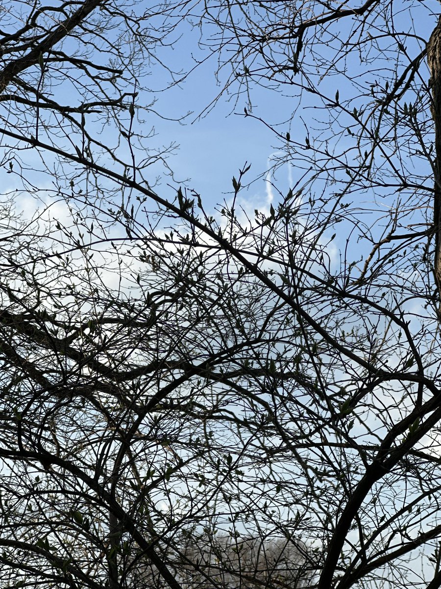 tabby aka Lilith tweet media