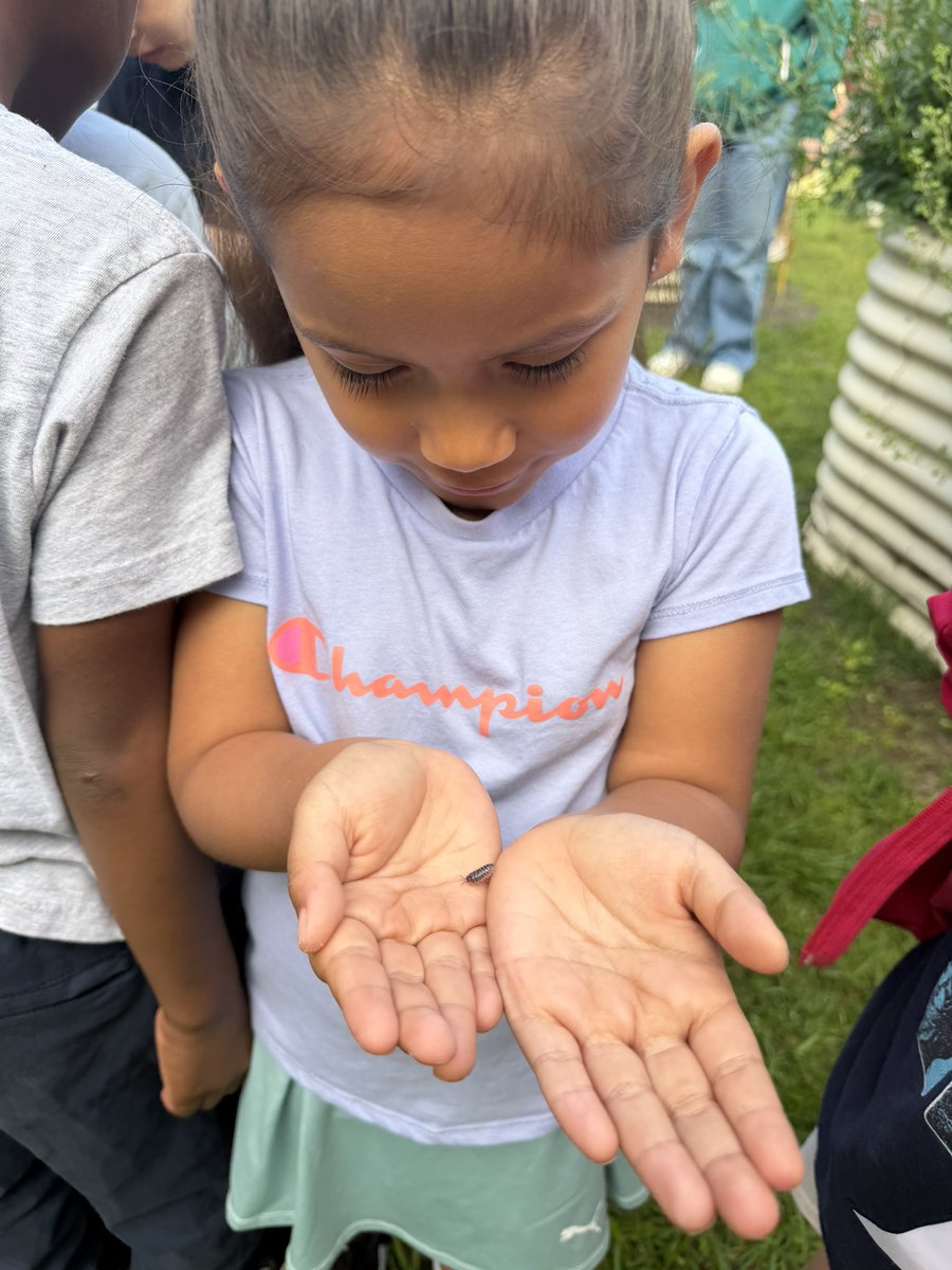 Celise Hamann tweet media