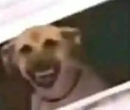 Un usuario más. tweet media