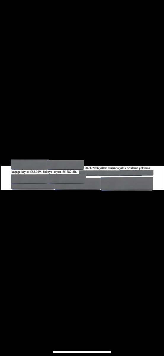 Hayrullah Başıbüyük tweet media