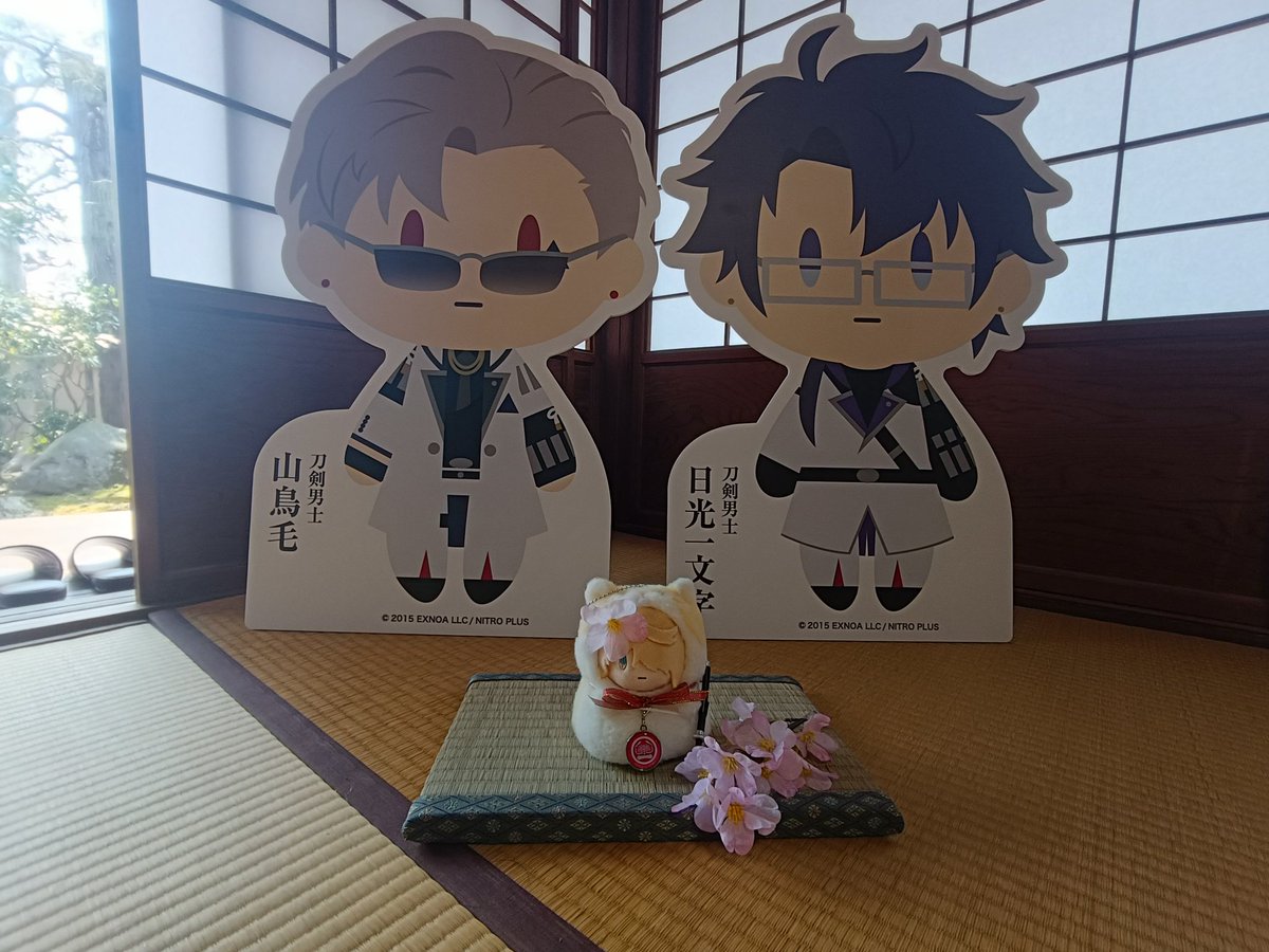 娘の母🌞 tweet media