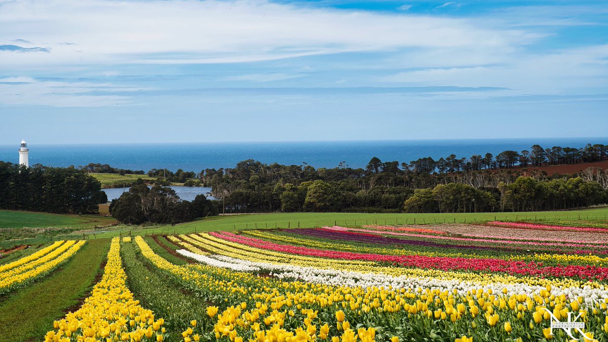 Nate | natekillick.eth tweet media