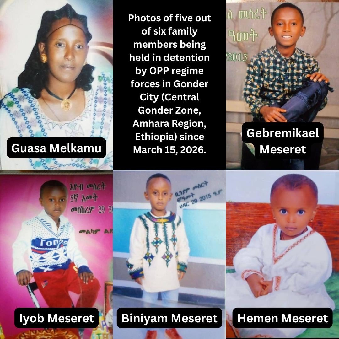 Robel Alemu | ሮቤል ዓለሙ (PhD) tweet media