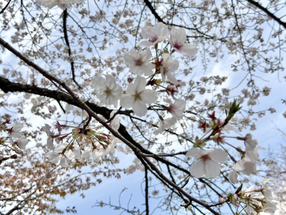 片遊佐 牽太 tweet media